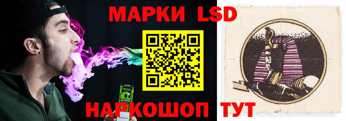 А ПВП Каменка