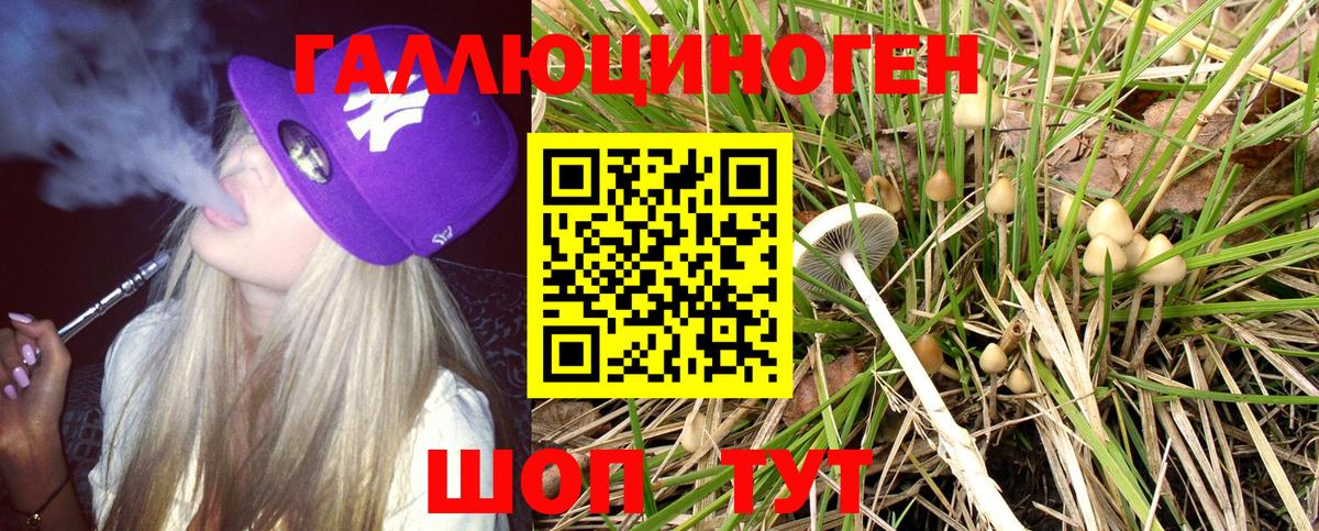 Каменка  Галлюциногенные грибы Magic Shrooms  Вход с VPN 